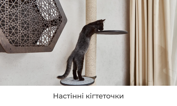 Настінні кігтеточки
