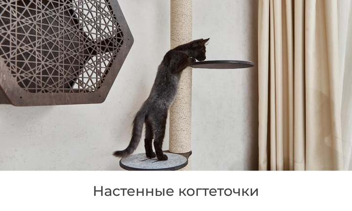 Настінні кігтеточки